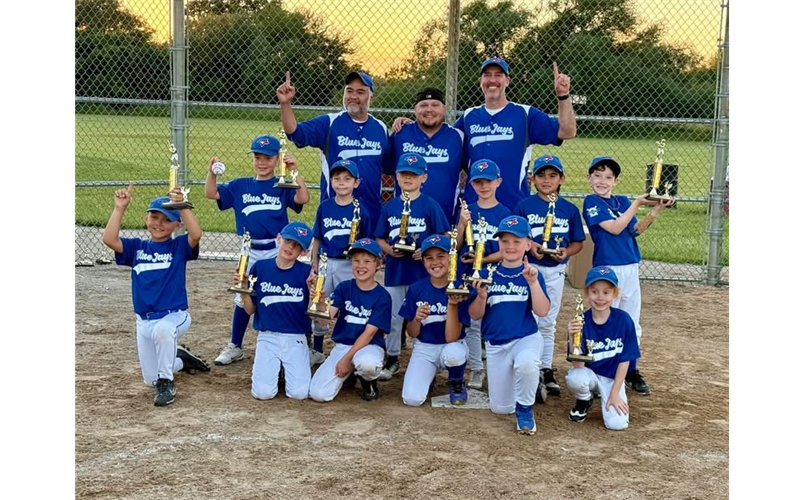 Spring 2026 Rookie Blue Jays