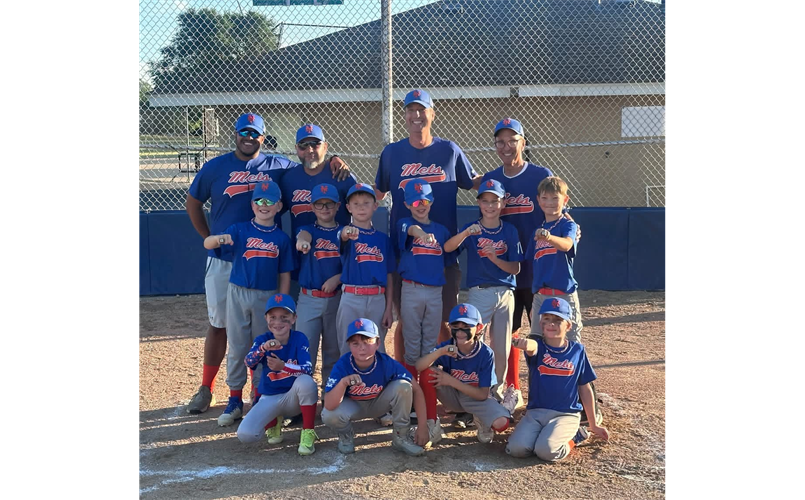 Spring 2026 Minor Mets